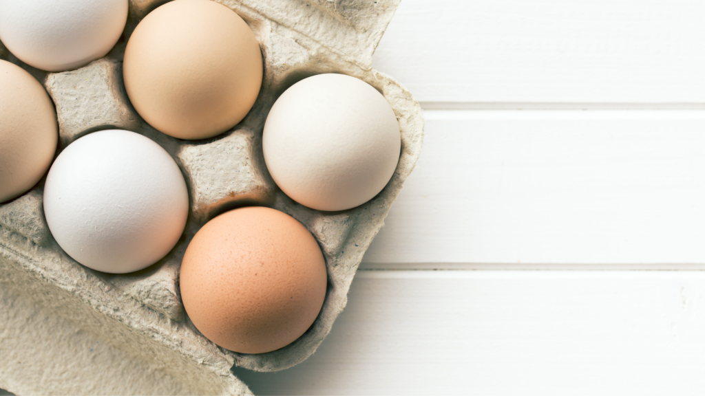 uova per una omelette al patè di carciofini