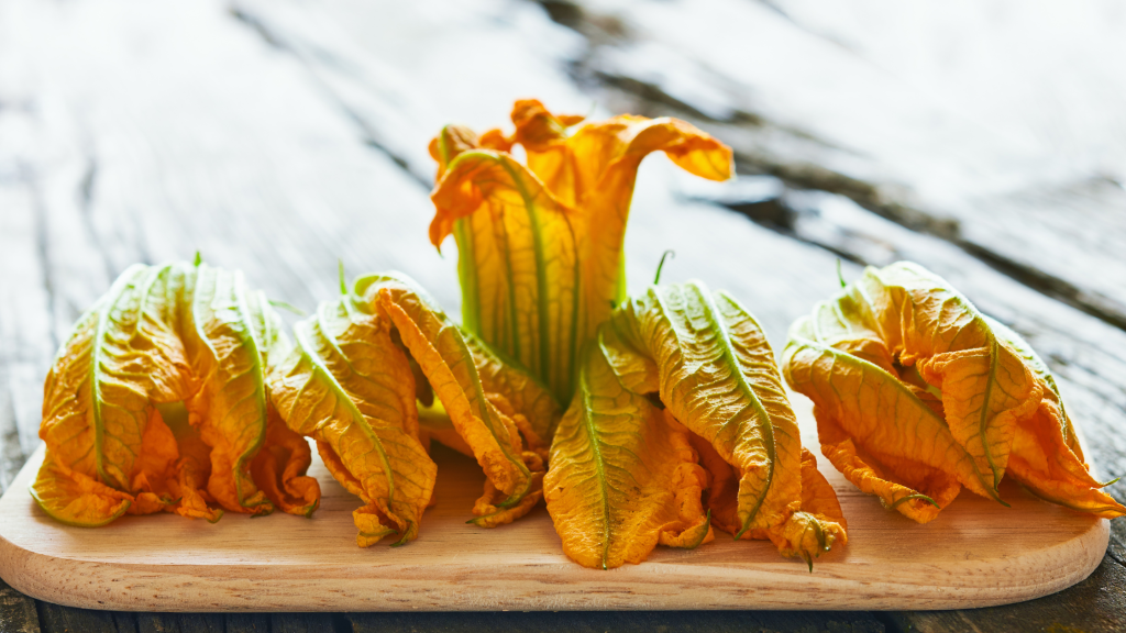 fiori di zucca