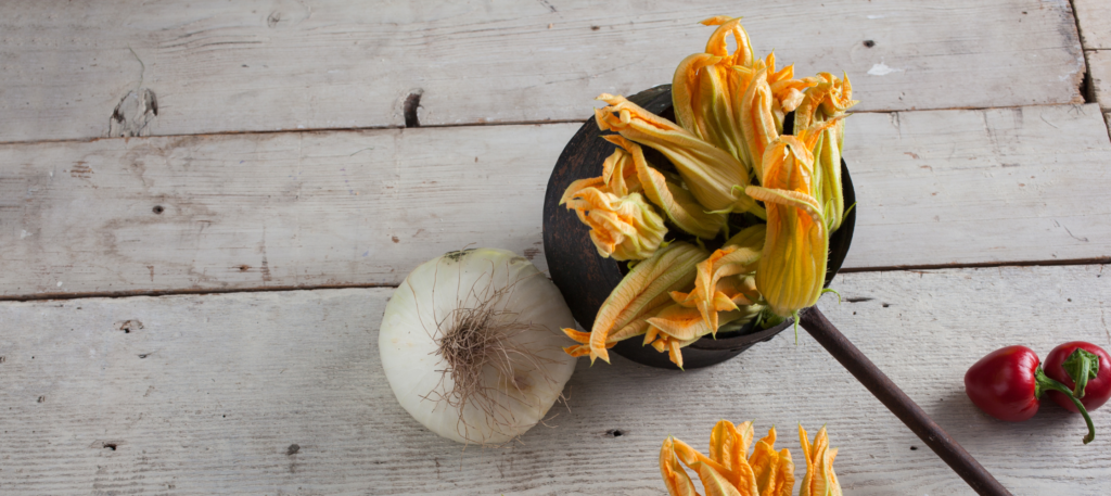 fiori di zucca