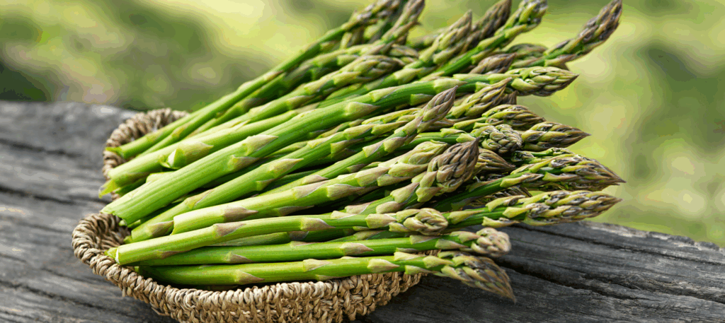 asparagi antica salumeria del corso