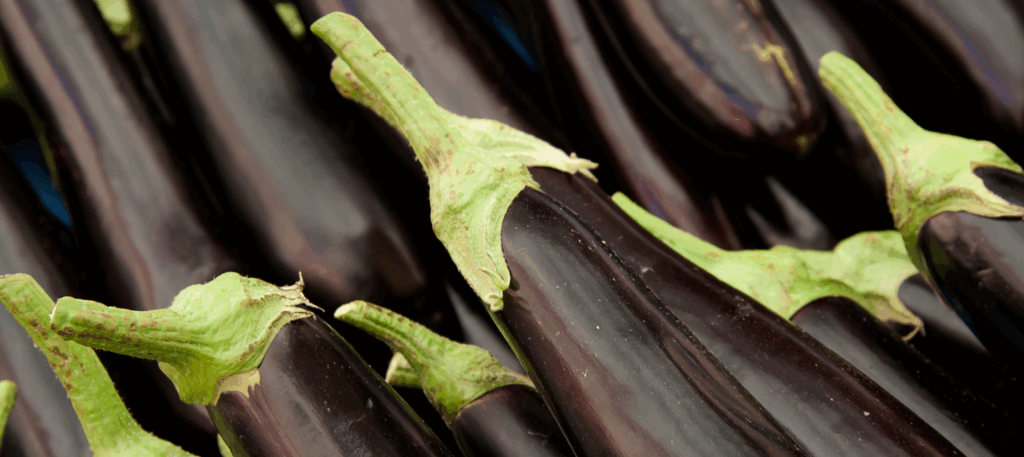 melanzane