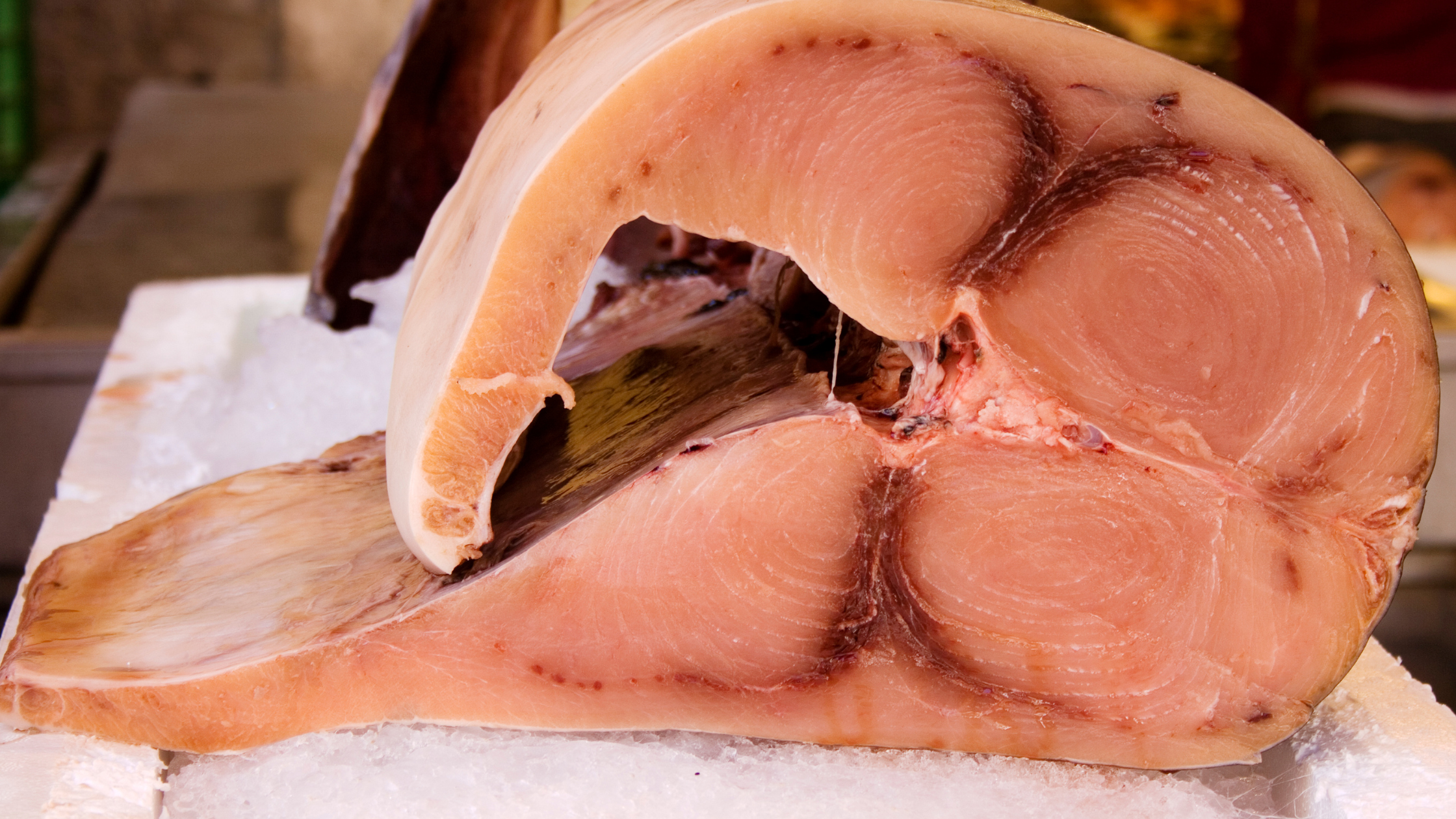 ricette senza cottura carpaccio di pesce spada